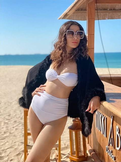 Raai Laxmi