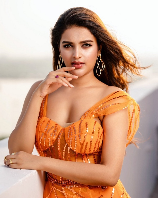 Nidhhi Agerwal 3