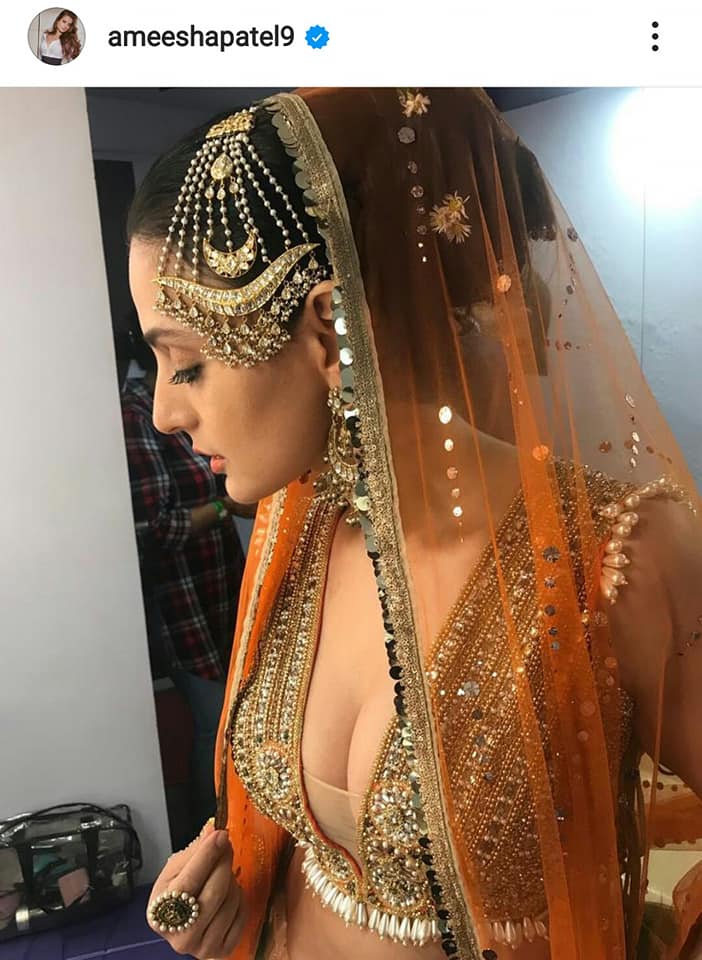 Ameesha Patel mesmerises in Indian Traditional dress