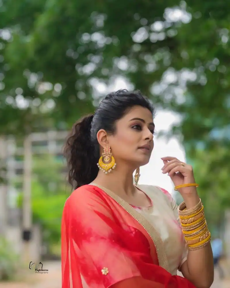 Priyamani 3