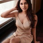 Nabha Natesh (3)