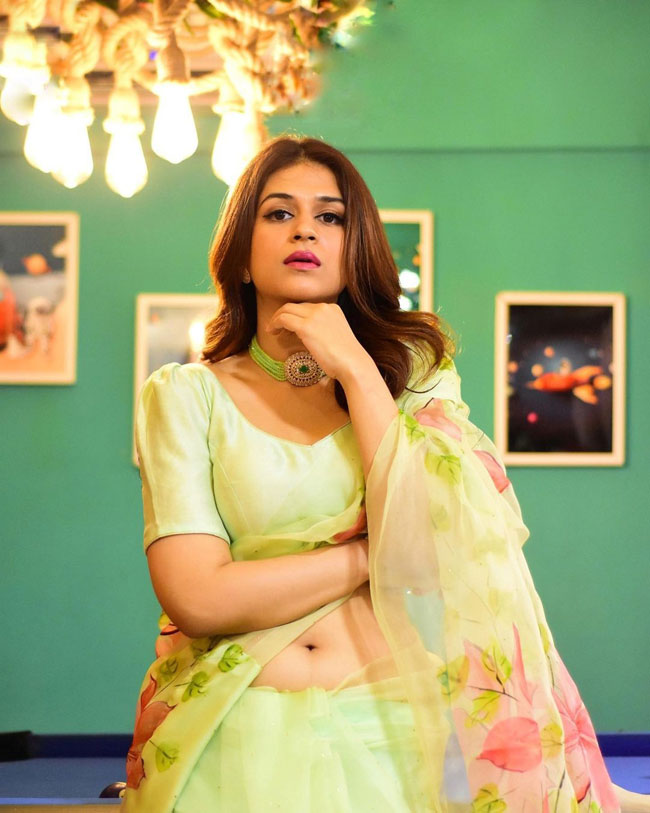 Shraddha das glamorous photoshoot in saree