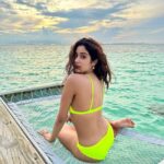 Janhvi Kapoor (1)