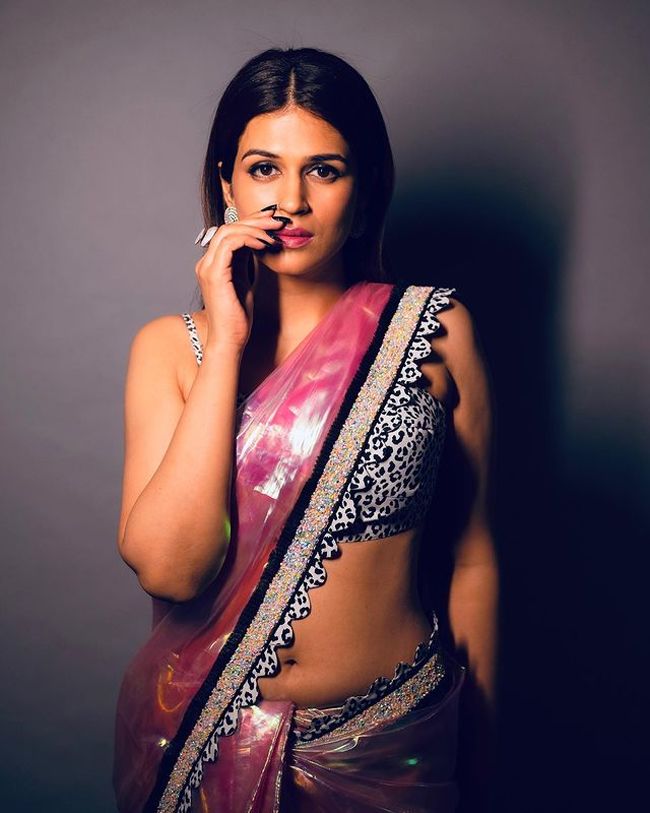 Appealing looks of Shraddha Das in saree