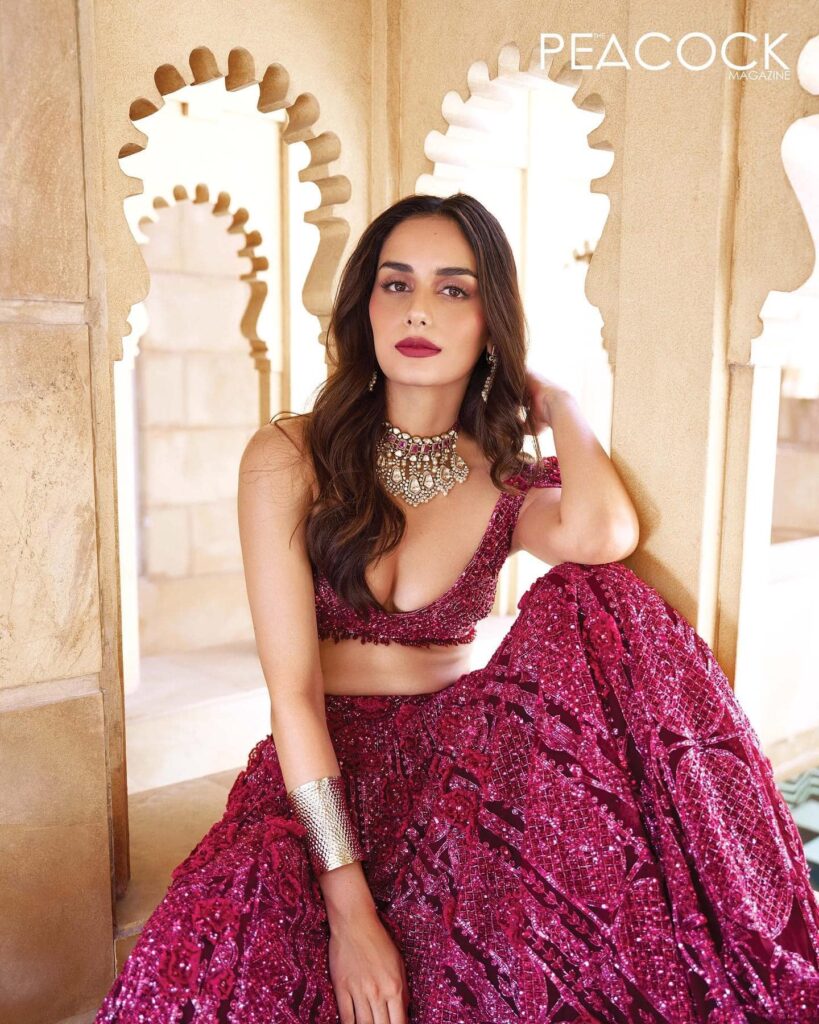 Manushi Chhillar 4