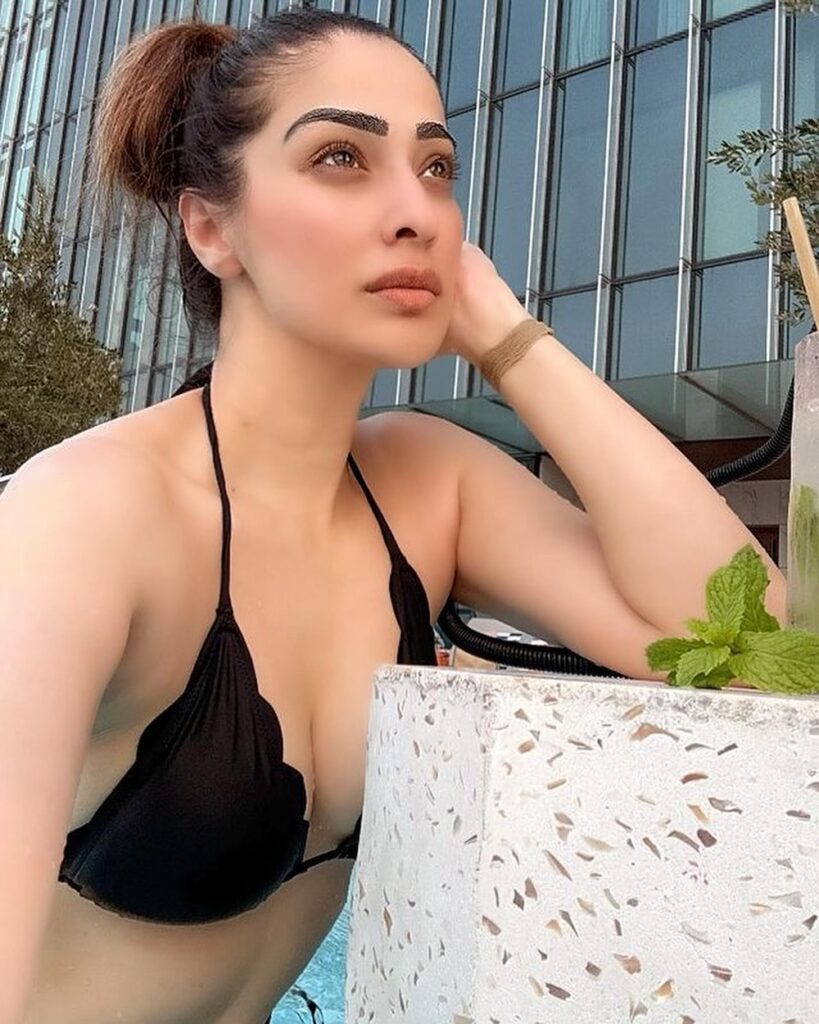 Raai Laxmi 3