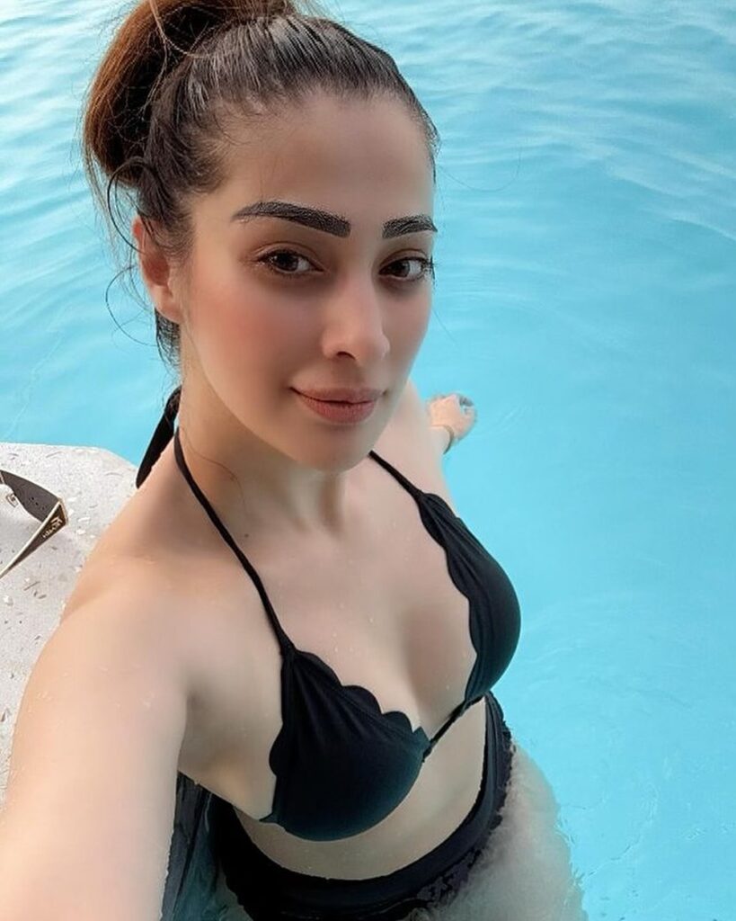 Raai Laxmi 5