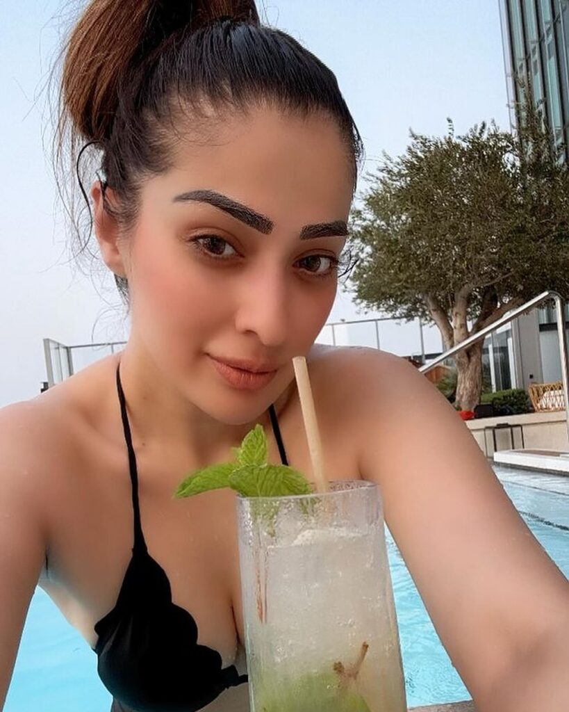 Raai Laxmi 6