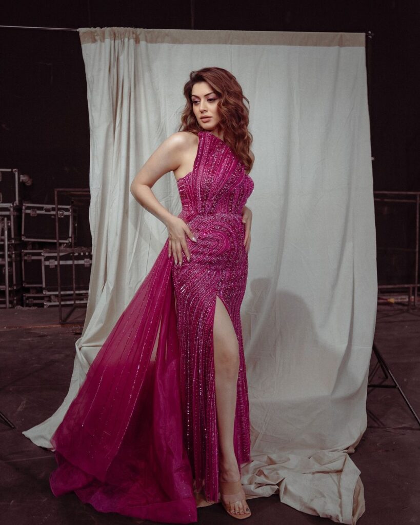 Hansika 10