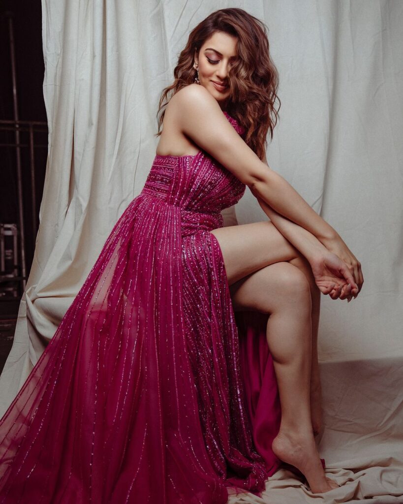 Hansika 4