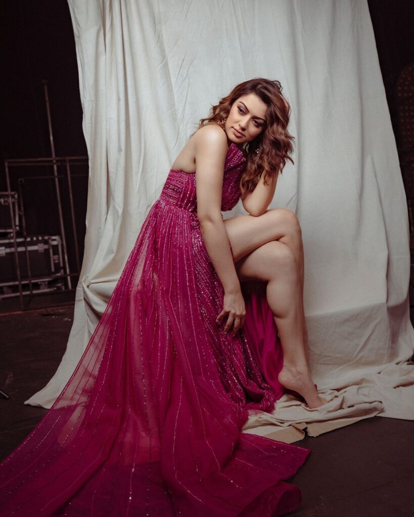 Hansika 5