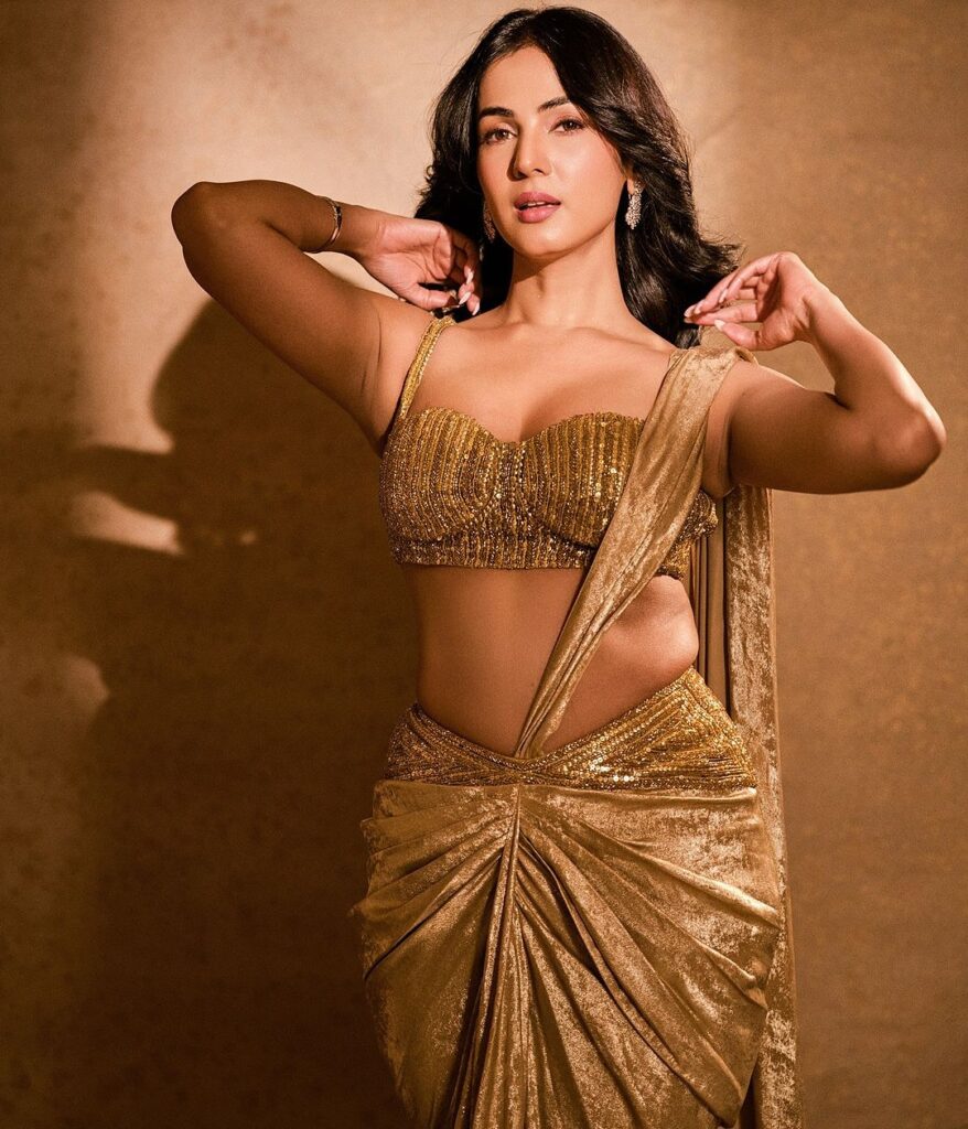 Sonal Chauhan 5