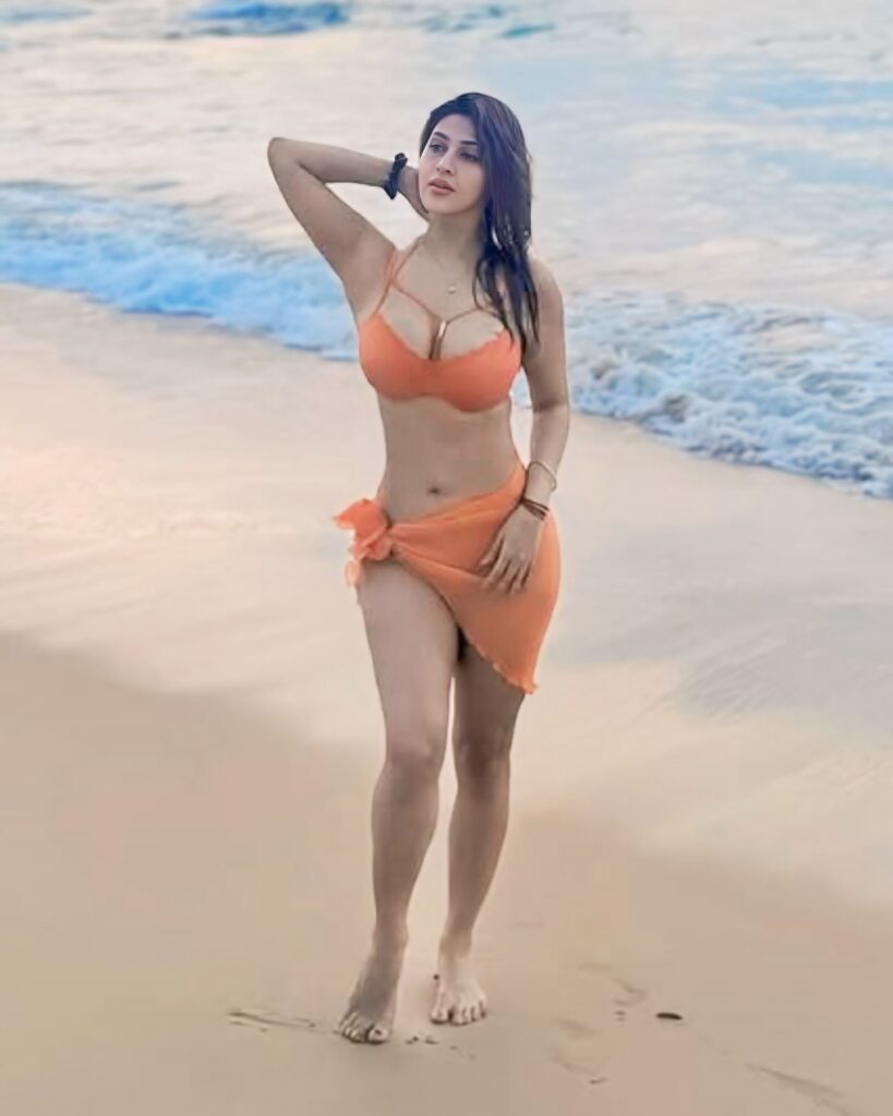 Sonarika 3