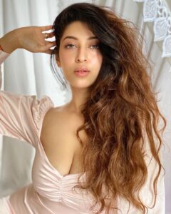 Sonarika 1 4