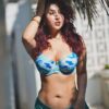 Sonarika